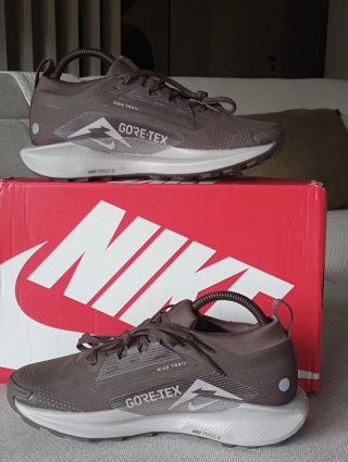 Nike Pegasus Trail 5 Gore-Tex Castanho/Cinza