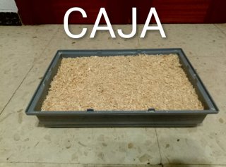 Kit Hamster Jaula Comida Bebedero