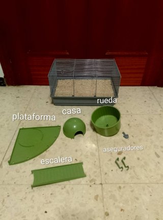 Kit Hamster Jaula Comida Bebedero