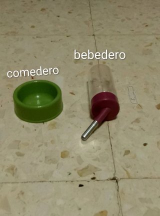 Kit Hamster Jaula Comida Bebedero