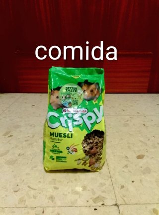 Kit Hamster Jaula Comida Bebedero