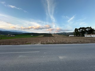 FINCA DE 1,12 HECTÁREAS EN LA MEJOR ZONA DE MONTEF