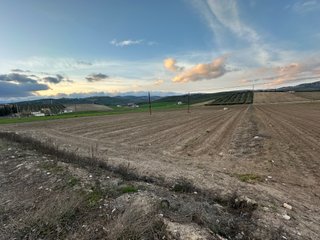 FINCA DE 1,12 HECTÁREAS EN LA MEJOR ZONA DE MONTEF