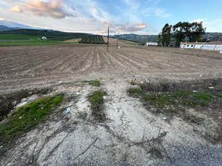 FINCA DE 1,12 HECTÁREAS EN LA MEJOR ZONA DE MONTEF