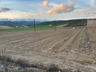 FINCA DE 1,12 HECTÁREAS EN LA MEJOR ZONA DE MONTEF