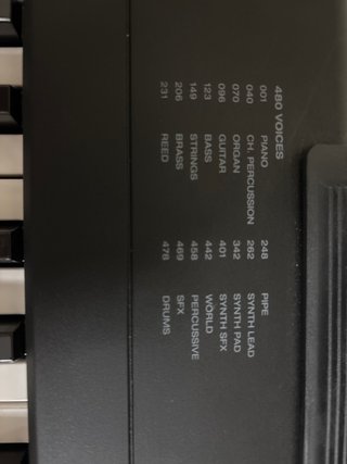 Piano 88 Teclas con Pedal y cascos incluidos