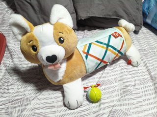 Perrito Fisher-Price Tummy Time