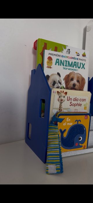 Expositor de libros casa en todos los colores