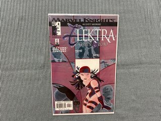 🇺🇸 Elektra: Glimpse and Echo #1-4 USA