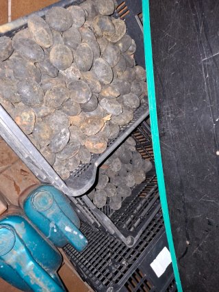 Carbón mineral para calderas No envios