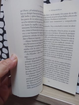 Tristán e Iseo