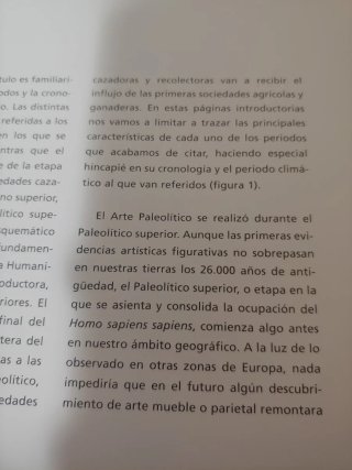 Arte rupestre en la Comunidad Valenciana