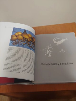 Arte rupestre en la Comunidad Valenciana