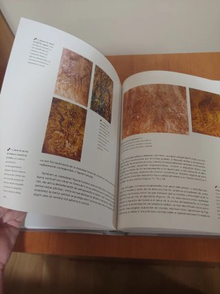 Arte rupestre en la Comunidad Valenciana