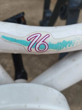 Bicicleta infantile 16 pollici