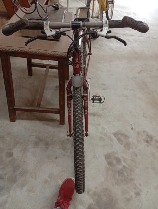 Bicicleta Montaña Morada/Plateada