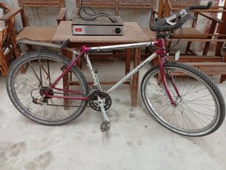 Bicicleta Montaña Morada/Plateada