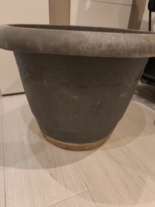 Maceta grande de plástico (50 cm diámetro)