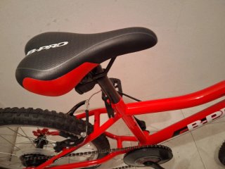 Bicicleta infantil 20 BPro