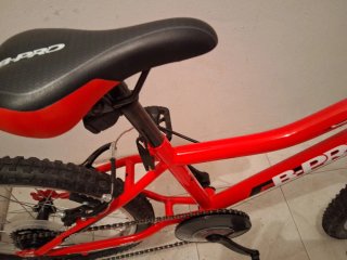 Bicicleta infantil 20 BPro