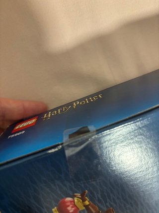 LEGO Harry Potter Torre de Astronomía 75969