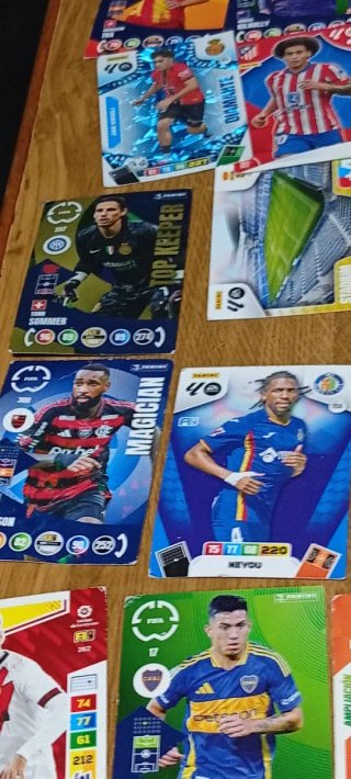 Cromos Fútbol Panini Élite Guirassy Sancet