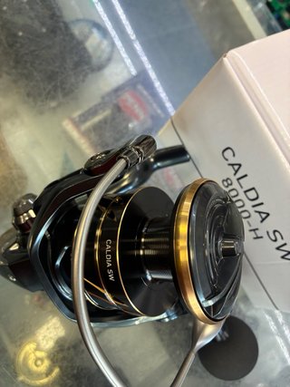Carrete Daiwa Caldia SW 8000 H