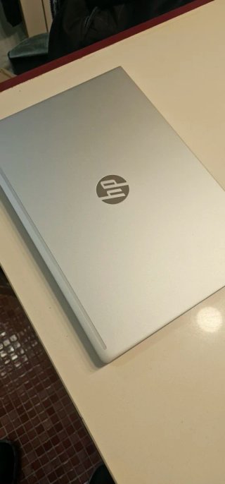 Portátil HP 455 G7 Plata