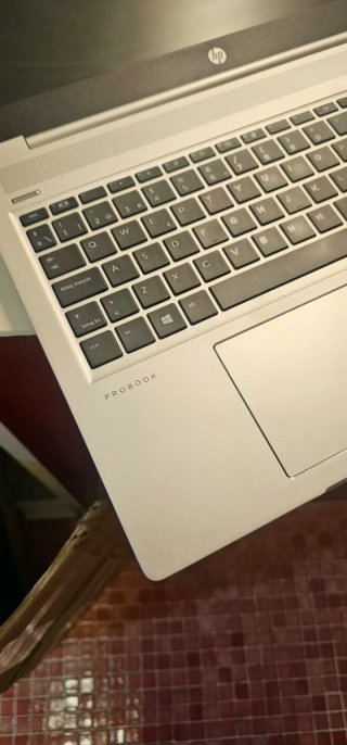 Portátil HP 455 G7 Plata