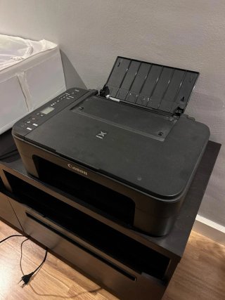 Impresora Canon Pixma Serie TS3150