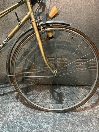 Bicicleta Vintage Rabasa Derbi