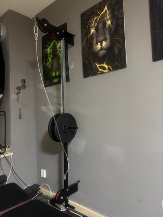 Banco de pesas y accesorios gimnasio