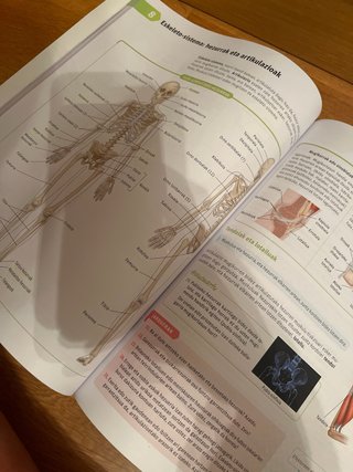 Biologia eta geologia, DBH 3