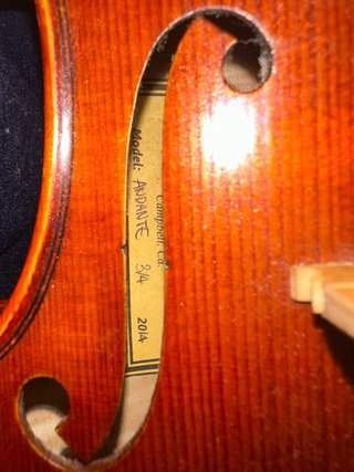 Violín Scott Cao 3/4
