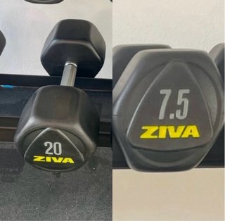 1 mancuerna de 20kg y 1 de 7.5kg