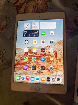 2 iPads: Air 3ª Gen + Mini 4