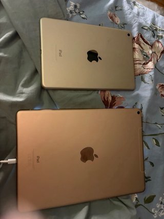 2 iPads: Air 3ª Gen + Mini 4