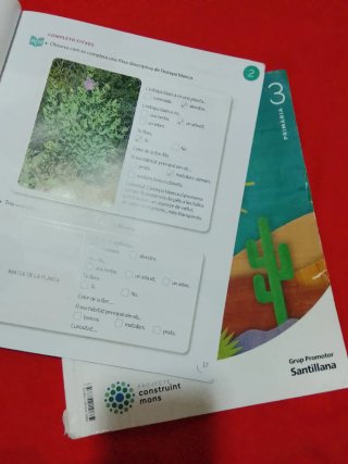 CONEIXEMENT DEL MEDI 3 PRIMARIA CONSTRUINT MONS