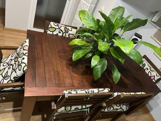 Conjunto Mesa Teca + 6 Sillas