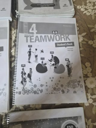 Libros de 4°eso diversificacion leopolodo Queipo