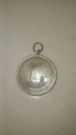 Medalla antigua con palmera y casa