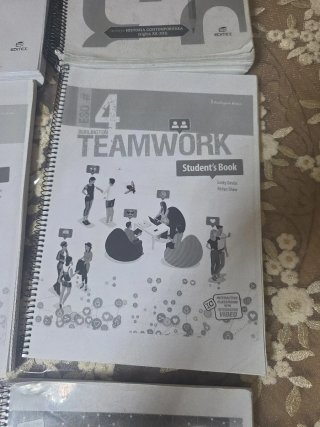 Libros de diversificacion de 4°eso leopoldo queipo