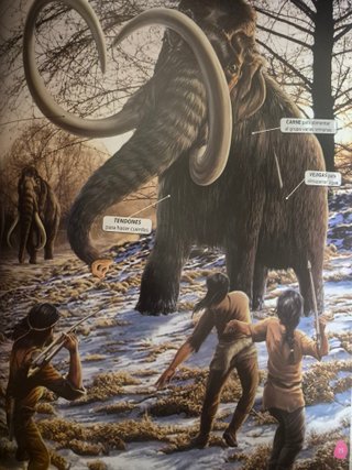 EL HOMBRE PREHISTÓRICO