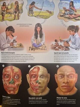 EL HOMBRE PREHISTÓRICO