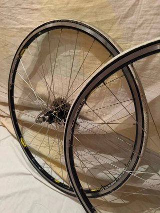 Ruedas Mavic Cosmos vittoria zafiro pro Shimano 9V