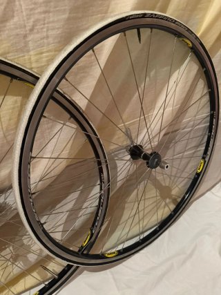 Ruedas Mavic Cosmos vittoria zafiro pro Shimano 9V