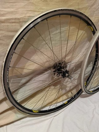 Ruedas Mavic Cosmos vittoria zafiro pro Shimano 9V