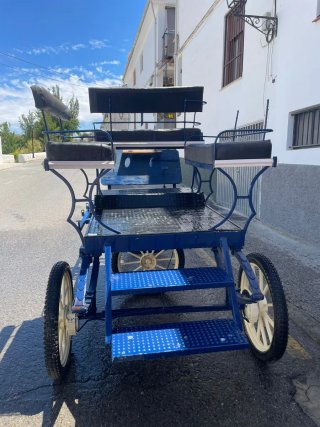 Jardinera Carro de Caballos