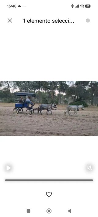 Jardinera Carro de Caballos