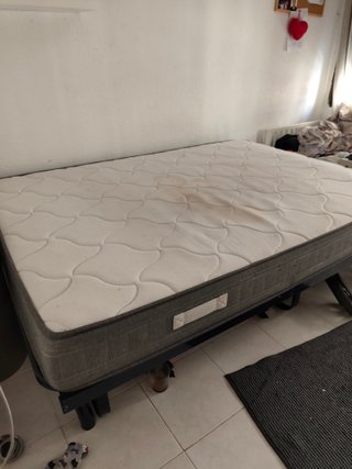 Cama